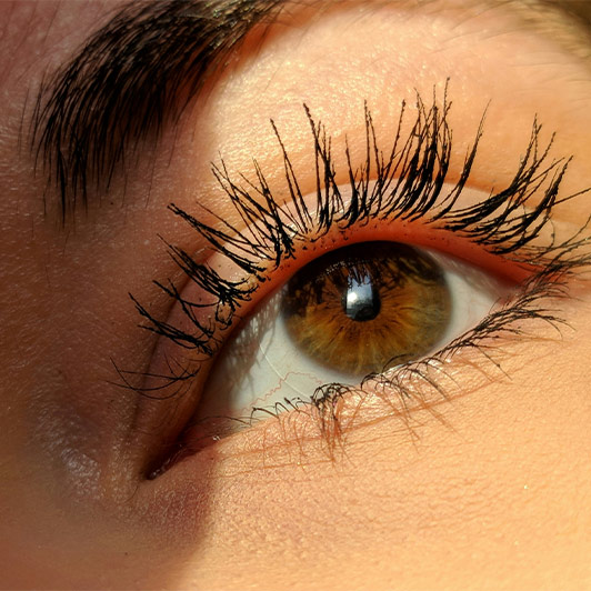 Lashes