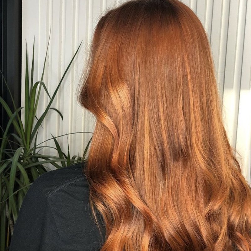 Healthy Shiny Beautiful